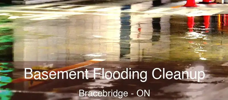  Basement Flooding Cleanup Bracebridge - ON