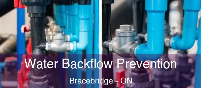  Water Backflow Prevention Bracebridge - ON