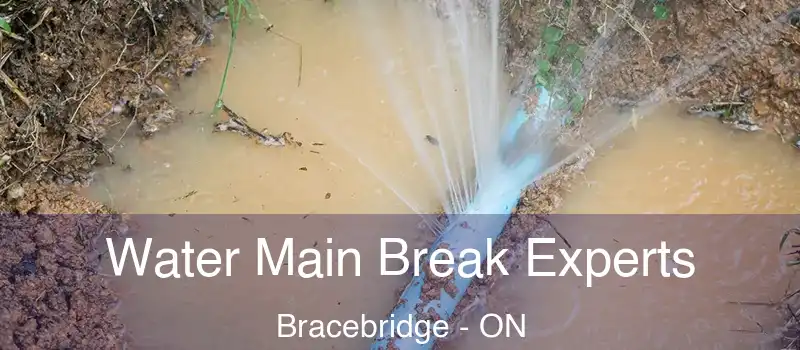  Water Main Break Experts Bracebridge - ON